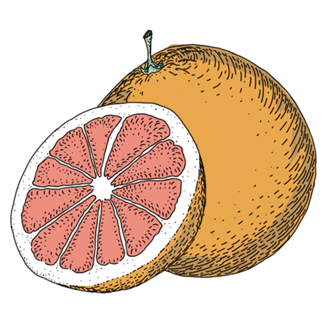 ThreeCents_grapefruit_1