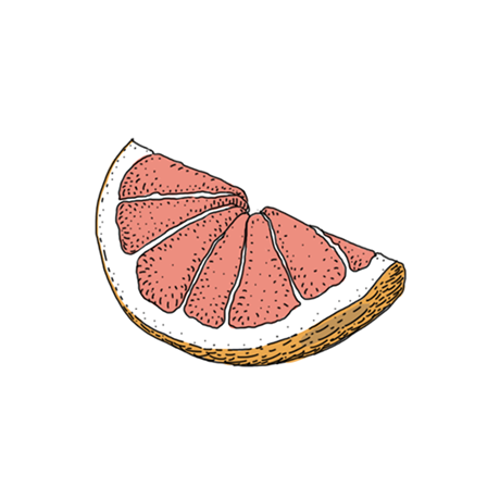 ThreeCents_grapefruit_3