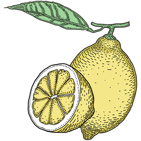 ThreeCents_lemon_1