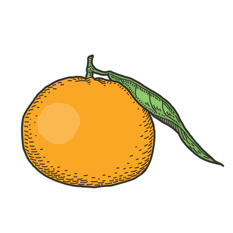 ThreeCents_mandarin_1