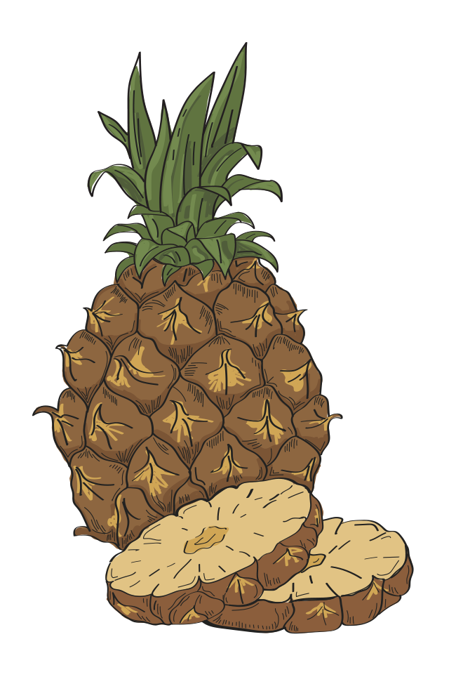 Pineapple [Converted]