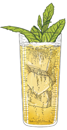 gingerale_cocktail_463x896-fotor-bg-remover-20250504152837